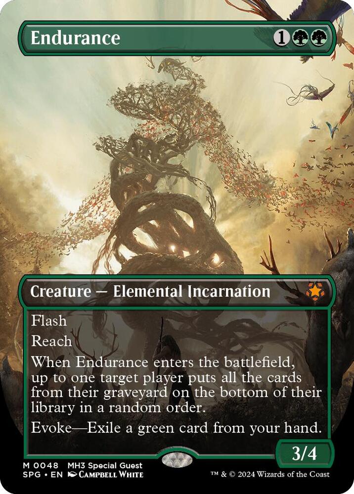 Endurance - Borderless