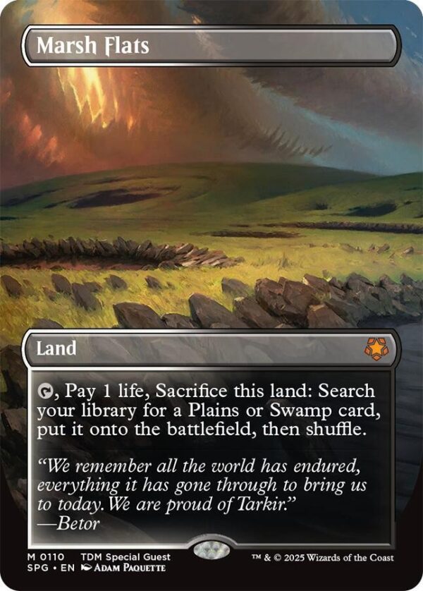 Marsh Flats - Borderless Foil