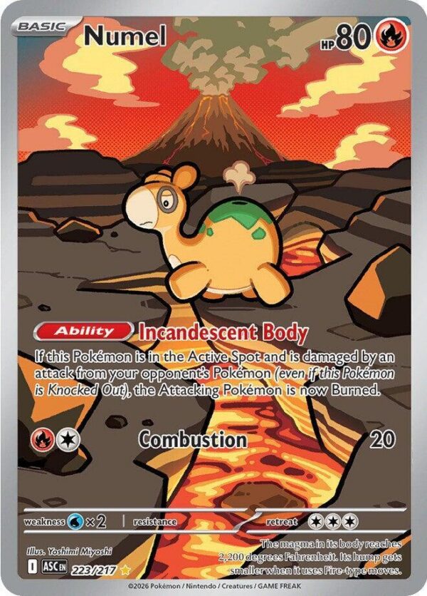 Numel - Foil